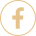 icon facebook
