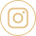 icon instagram